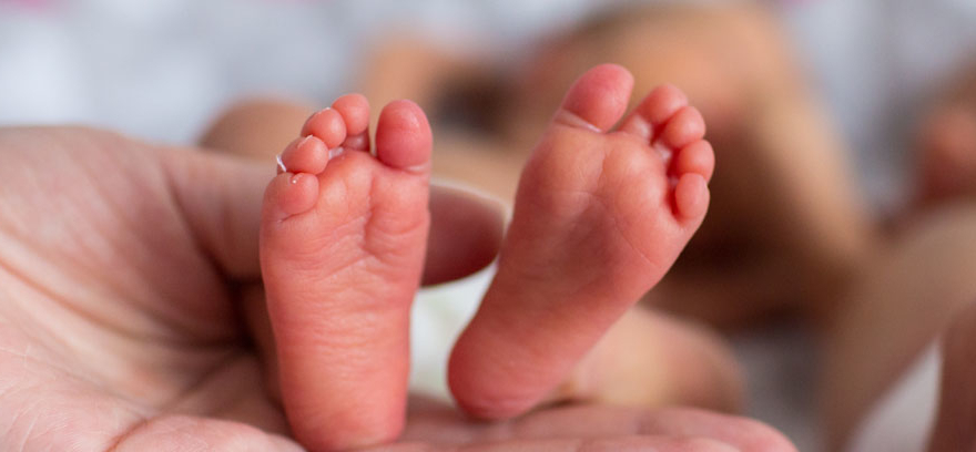 Clínica de seguimiento del niño prematuro&nbsp;